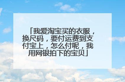 我爱淘宝买的衣服,换尺码,要付运费到支付宝上,怎么付呢,我用网银拍下的宝贝