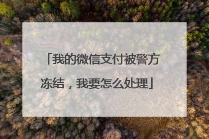 我的微信支付被警方冻结,我要怎么处理