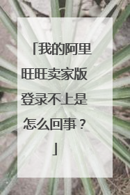 我的阿里旺旺卖家版登录不上是怎么回事?