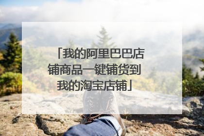 我的阿里巴巴店铺商品一键铺货到我的淘宝店铺