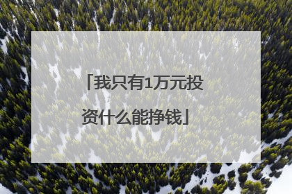 我只有1万元投资什么能挣钱