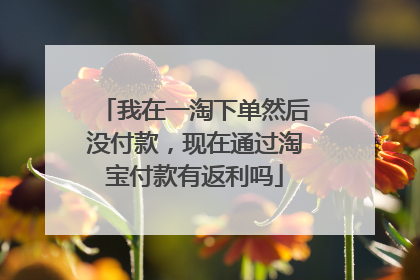 我在一淘下单然后没付款,现在通过淘宝付款有返利吗