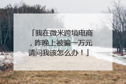 我在微米跨境电商,昨晚上被骗一万元请问我该怎么办!