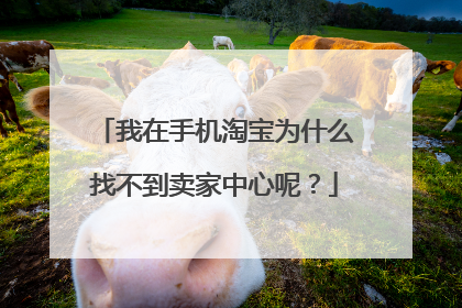 我在手机淘宝为什么找不到卖家中心呢?