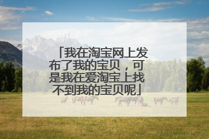 我在淘宝网上发布了我的宝贝,可是我在爱淘宝上找不到我的宝贝呢