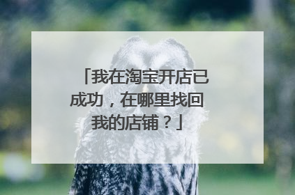 我在淘宝开店已成功,在哪里找回我的店铺?
