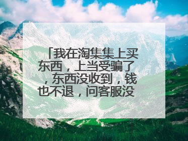 我在淘集集上买东西,上当受骗了,东西没收到,钱也不退,问客服没结果,怎么投诉淘集集,求解答