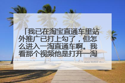 我已在淘宝直通车里站外推广已打上勾了,但怎么进入一淘直通车啊。我看那个视频他是打开一淘直通车的编缉