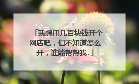 我想用几百块钱开个网店吧,但不知道怎么开,谁能帮帮我.