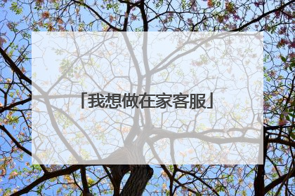我想做在家客服