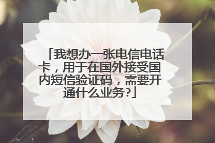 我想办一张电信电话卡,用于在国外接受国内短信验证码,需要开通什么业务?