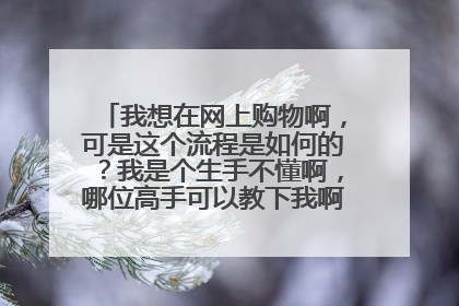 我想在网上购物啊,可是这个流程是如何的?我是个生手不懂啊,哪位高手可以教下我啊?大神们帮帮忙