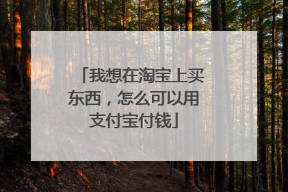 我想在淘宝上买东西,怎么可以用支付宝付钱