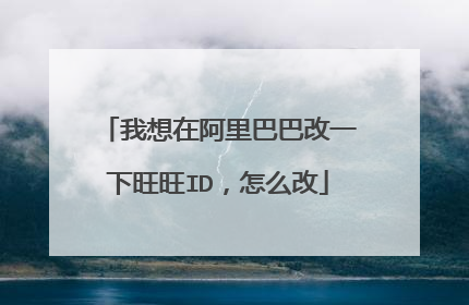 我想在阿里巴巴改一下旺旺ID,怎么改