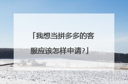 我想当拼多多的客服应该怎样申请?