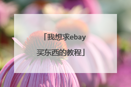 我想求ebay买东西的教程