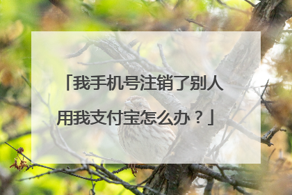 我手机号注销了别人用我支付宝怎么办?