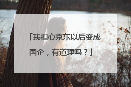 我担心京东以后变成国企,有道理吗?
