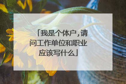 我是个体户,请问工作单位和职业应该写什么
