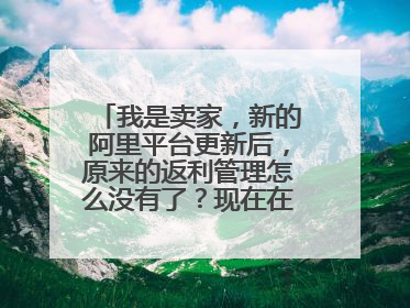 我是卖家,新的阿里平台更新后,原来的返利管理怎么没有了?现在在哪里设置?