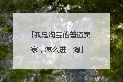 我是淘宝的普通卖家,怎么进一淘