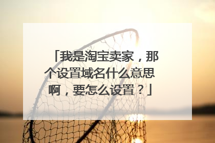 我是淘宝卖家,那个设置域名什么意思啊,要怎么设置?