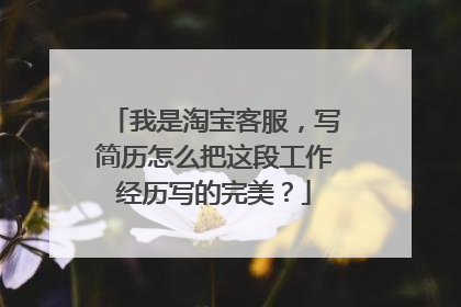我是淘宝客服,写简历怎么把这段工作经历写的完美?