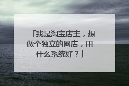 我是淘宝店主,想做个独立的网店,用什么系统好?