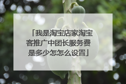 我是淘宝店家淘宝客推广中团长服务费是多少怎怎么设置