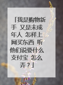 我是购物新手 又是未成年人 怎样上网买东西 听他们说要什么支付宝 怎么弄?