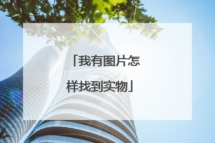 我有图片怎样找到实物