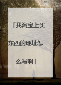 我淘宝上买东西的地址怎么写啊