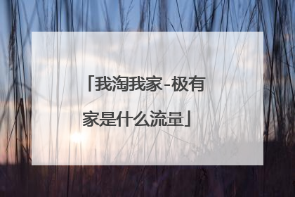 我淘我家-极有家是什么流量
