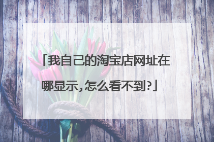我自己的淘宝店网址在哪显示,怎么看不到?