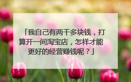我自己有两千多块钱,打算开一间淘宝店,怎样才能更好的经营赚钱呢?