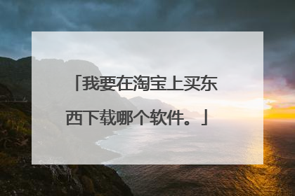 我要在淘宝上买东西下载哪个软件。