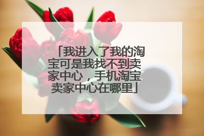 我进入了我的淘宝可是我找不到卖家中心,手机淘宝卖家中心在哪里