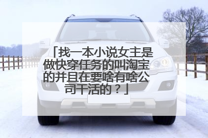 找一本小说女主是做快穿任务的叫淘宝的并且在要啥有啥公司干活的？