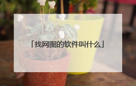 找网图的软件叫什么