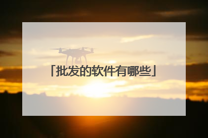 批发的软件有哪些