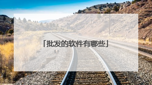 批发的软件有哪些