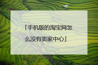 手机版的淘宝网怎么没有卖家中心