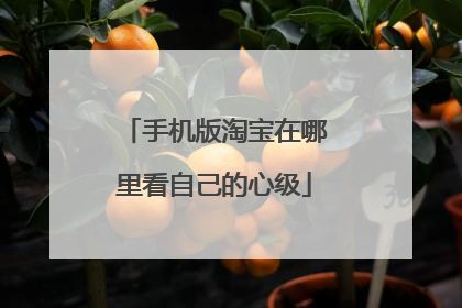 手机版淘宝在哪里看自己的心级