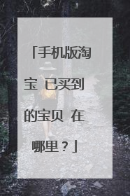 手机版淘宝 已买到的宝贝 在哪里?