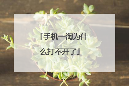 手机一淘为什么打不开了