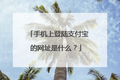 手机上登陆支付宝的网址是什么?