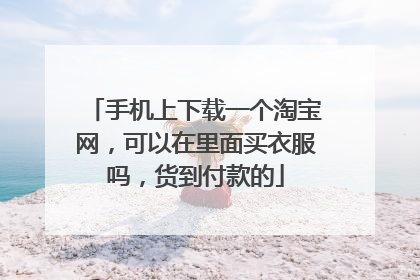 手机上下载一个淘宝网,可以在里面买衣服吗,货到付款的