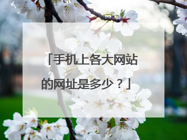 手机上各大网站的网址是多少?
