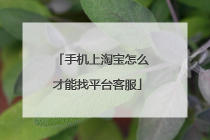 手机上淘宝怎么才能找平台客服