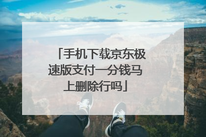 手机下载京东极速版支付一分钱马上删除行吗